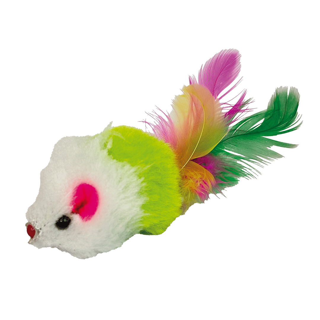 Ratinho com plumas